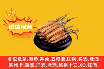 庆阳市合水回收冬虫夏草